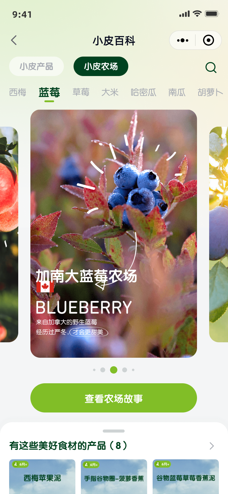 小皮百科